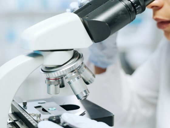 Gut Microbiome Testing: Inside the System That Affects Everything